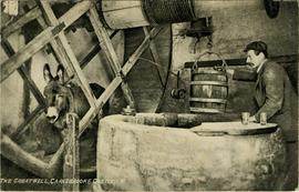 Donkey water raising