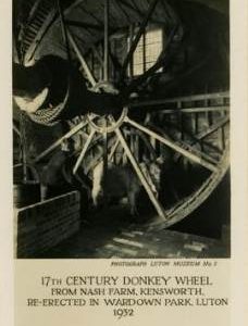 Donkey water raising