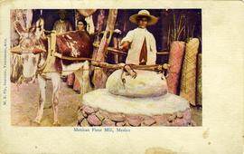 Donkey working flour mill