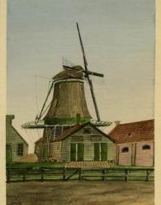 De Eikenboom