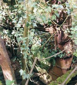 Remnants of Waterwheel 5