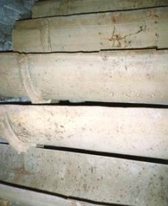 Waterwheel blades, Deben Mill, Wickham Market