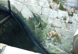 Waterwheel pit, Abbot's Mill, Canterbury
