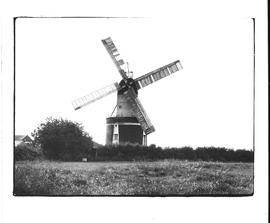 Composite Mill, Little Laver