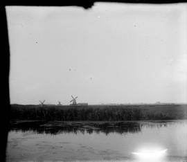 Industrial windmills in the Zaan region