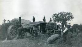 Steam traction engine, smock mill, Fulbourn