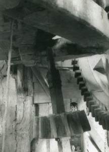 Stone nut, Six Mile Bottom Mill, Burrough Green