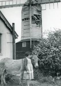 Downs Mill, Bexhill, derelict with child and donkey