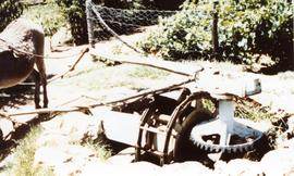 Photograph of a Persian Wheel Donkey Pump, Boland Museum, Worcester, South Africa