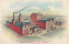 Victoria Flour Mills, Grimsby