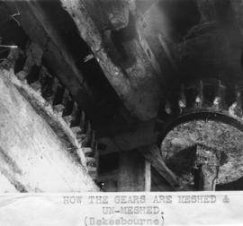 Great spur wheel and stone nut, Bekesbourne Mill, Adisham