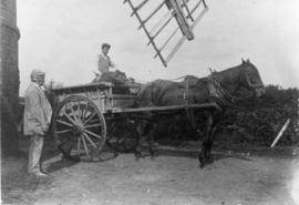 Miller and son with horse and cart, post mill, Bedingfield