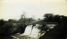 Weir and lady posed with dog, watermill, Thornton le Street