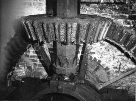 Wallower, Efford Mill, Milford on Sea