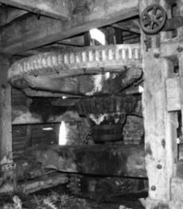Spur wheel, Hawk Hill Farm, Damerham