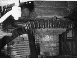 Wallower, Burcombe Mill, South Newton