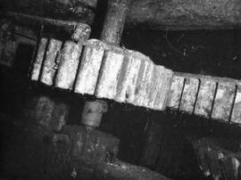 Stone nut, Durngate Mill, Winchester