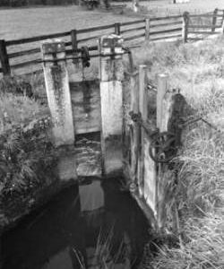 Sluice gates, Home Farm Mill, Culford