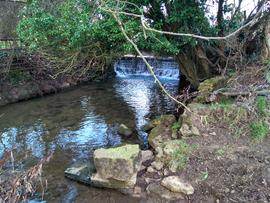 Weir and remains of mill on Bow Brook