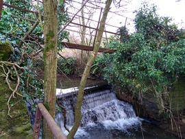 Weir and remains of mill on Bow Brook
