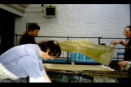 Wookey Hole Mill, paper dip with felting post