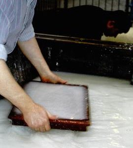 Wookey Hole Mill, level