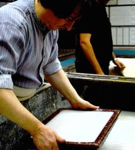 Wookey Hole Mill, shake