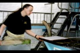 Wookey Hole Mill, take to couch