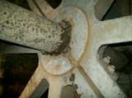 Waterwheel, Coggeshall