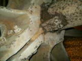 Waterwheel, Coggeshall