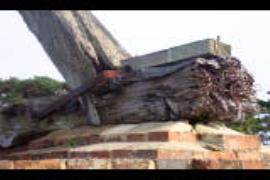 Crosstree, Downs Mill, Bexhill