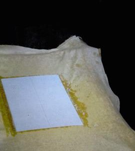 Wookey Hole Mill, couched on post