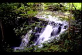 Stoke Bottom Paper Mill, Somerset, ruins, leat into spillway