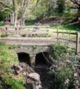 Mill leat, Abbey Corn Mill, Mitford