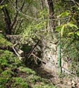 Mill leat, Abbey Corn Mill, Mitford