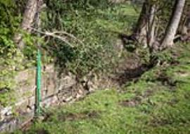 Mill leat, Abbey Corn Mill, Mitford