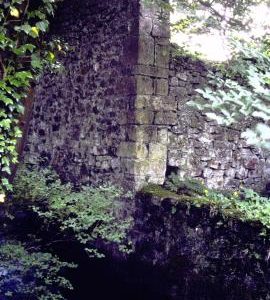 Stoke Bottom Paper Mill, Somerset, ruins, west wall with the stream below