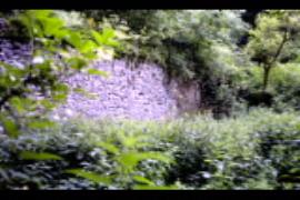 Stoke Bottom Paper Mill, Somerset, ruins, west wall interior