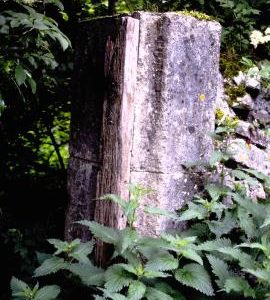 Stoke Bottom Paper Mill, Somerset, ruins,  east wall, door post