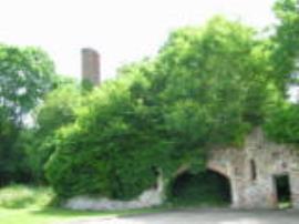 Dulcote East Mill, Somerset, mill and chimney remains