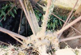 Forston Farm wheel, Charminster, Dorset, detail of the low breast-shot waterwheel