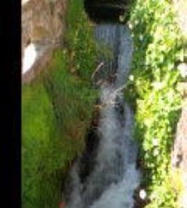 View of the millrace, Ham Mill, Newbury