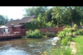 View of the millstream, Ham Mill, Newbury