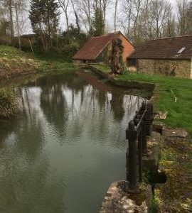 Mill pond, Shutler's Mill, South Petherton