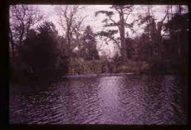 Ornamental canal at Painshill Park Waterwheel, Cobham, Surrey