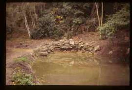 Cascade at Painshill Park Waterwheel, Cobham, Surrey