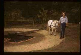 Horse driven pump at Painshill Park Roman Bath, Cobham, Surrey