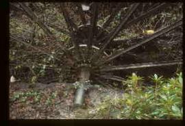 Wheel hub and arms, Wheal Martyn Mill, St Austell, Cornwall