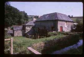 Crowdy Mill, Harbertonford, Devon, view from the leat