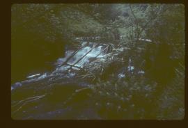 Cressbrook Mill, Litton, Derbyshire, weir